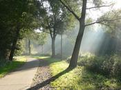 L'IMAGE JOUR: Piste cyclable Belgique