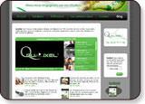 Nouveau site Qualixel.com