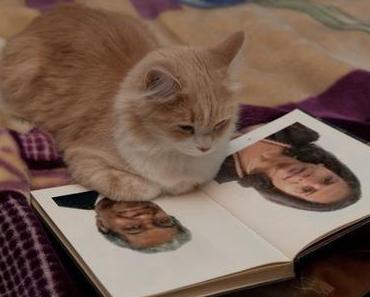 Les trois sénateurs réunionnais chez les cancres