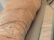 scanner révèle présence curieux dans crâne d'une momie