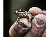 L’écologie portfolio collectif réalisé l’occasion Reportagesphotos.fr