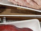 Vous reprendrez bien dinosaure