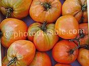 Stéphane Guillon supermarché