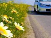 belles vacances près chez