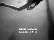 Neon Canyon Koopa Beach