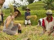 Découvrir rizières Bali