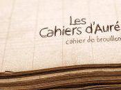 "Les Cahiers d'Auré" concert gratuit soir Port Plaisance Calvi
