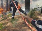 Plusieurs incendies après-midi Haute-Corse.