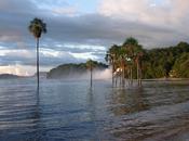 homme descendre l’Amazone pied.