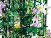 Fleurs Martinaud adhérent Interflora Saint Tropez