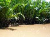 Trois savoyards Viêt