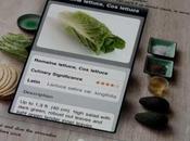 Cuisine visuelle simple, rapide délicieux iPad