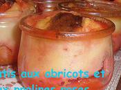 Clafoutis abricots pralines roses