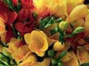 convivialité fleurs