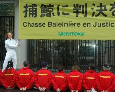 Trafic de viande de baleine : à l’approche du verdict, participez à une marche virtuelle pour les Tokyo II !
