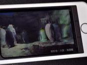 2010 Deux prototypes d’écrans sans lunettes chez Sharp