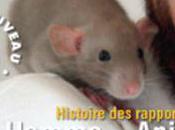 Regard animal, regard animaux