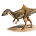 Concavenator corcovatus, nouveau dinosaure