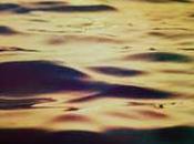 Clip Kings Leon Radioactive