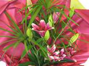 Cathy-fleurs, Interflora Fécamp