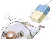 Lectures bloguesques semaine 37-2010)