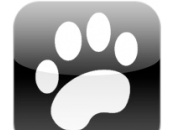 chiens licences gagner