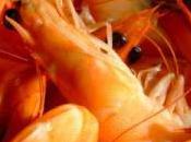 Fête crevette Honfleur