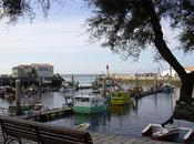 Cotinière -Ile d'Oleron