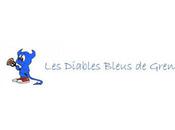 Flag Diables Bleus brillent Flagad'Alpes