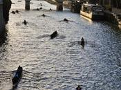 Traversée Hauts-de-Seine Paris Aviron.