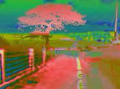 "tourne page" m'a-t-on