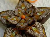 Chez ZINE, création gagner