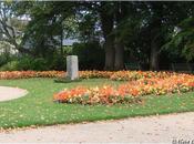 Massifs d'automne Jardin Thabor Rennes