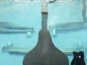 J'ai teste l'aquabiking