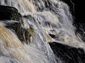 Trois photos même sujet...