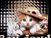 livret plein d'astuces ECONOMANIA