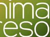 images pour Animal Resort