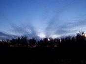 Then you'll spread your wings