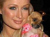 Toutes fans Clochette!