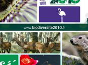 Sommet international biodiversité Nagoya monde doit agir pour éviter point non-retour