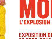 Mobi Boom, l’explosion design France