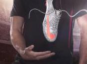 Safari Photo Présentation