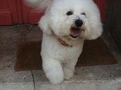 peut être fashion, drôle, intelligente ménopausée