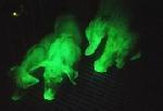 truie phosphorescente donne naissance deux cochonnets lumineux