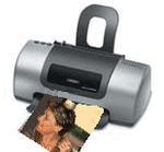 Gelée crevettes crevette