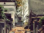 L'automne Père Lachaise