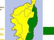 Phase surveillance Météo niveau jaune Fortes pluies orageuses vents forts jusqu'à soir.