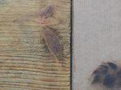 Voyager, c'est être vivant