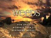 Weeds saison Nancy continue plus