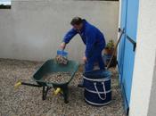 novembre 2010, l'entrée garage cave